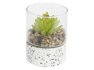 11cm Pebblecrete Glass Vase with Succulent