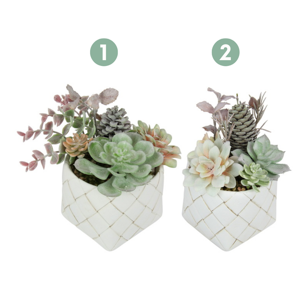 18cm Decor Plant with Resin Woven Look  Pot- 2 Assorted