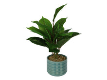 Load image into Gallery viewer, 40cm Artificial Plant in Blue Ceramic Pot