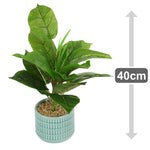 Load image into Gallery viewer, 40cm Artificial Plant in Blue Ceramic Pot