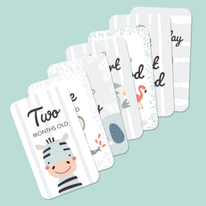 Baby Milestone Cards Set