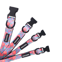 Load image into Gallery viewer, Frank Barker Pet Collars - Assorted