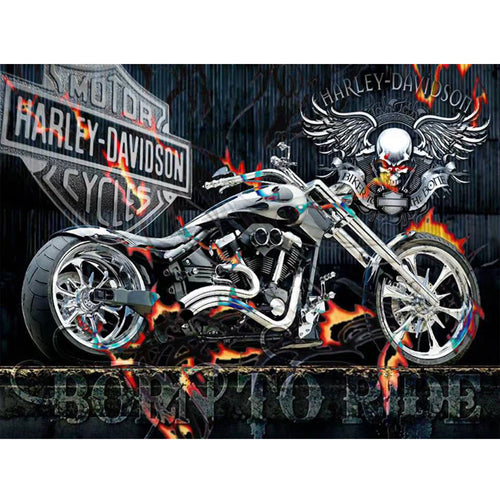 5D Full Drill Diamond Art Kit (30cm x 40cm) - Harley Davidson 