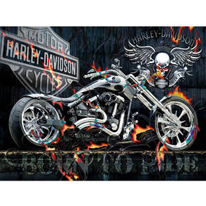 5D Full Drill Diamond Art Kit (30cm x 40cm) - Harley Davidson "Born to Ride"