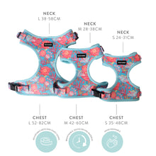 Load image into Gallery viewer, Frank Barker Pet Harness - Assorted