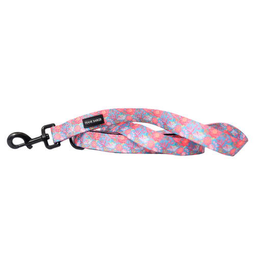 Frank Barker Pet Lead - Floral