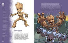 Load image into Gallery viewer, Marvel Character Encyclopedia (Hardcover)