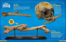 Load image into Gallery viewer, Ripley&#39;s Believe it or Not! Escape the Ordinary (Hardcover)