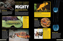 Load image into Gallery viewer, Ripley&#39;s Believe it or Not! Escape the Ordinary (Hardcover)