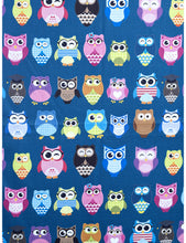 Load image into Gallery viewer, IVYS Owl Scarf - Teal