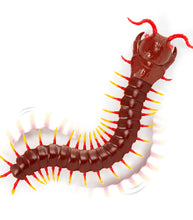 Load image into Gallery viewer, Terra by Battat Giant Scolopendra Remote Control Centipede