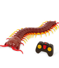 Load image into Gallery viewer, Terra by Battat Giant Scolopendra Remote Control Centipede