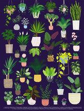 Load image into Gallery viewer, Elevate: The Power Of Plants - Your Self-care &amp; plant-care Kit