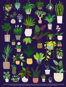 Elevate: The Power Of Plants - Your Self-care & plant-care Kit