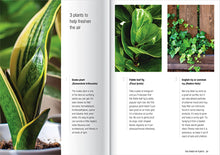 Load image into Gallery viewer, Elevate: The Power Of Plants - Your Self-care &amp; plant-care Kit