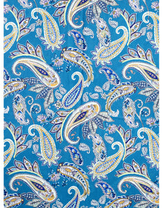 IVYS Paisley Scarf - Teal