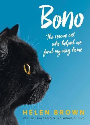 Bono: The rescue cat who helped me find my way home by Helen Brown