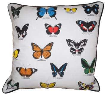 Allgifts Australia - Cushion Cover - Butterflies