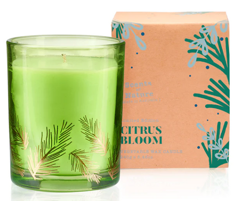 Tilley Limited Edition 240g Candle - Citrus Bloom