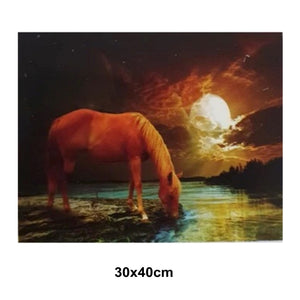 Diamond Picture Art Kit (30cm x 40cm) - Night Horse