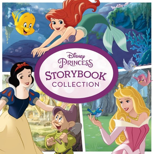 Disney Princess Storybook Collection (Hardcover)