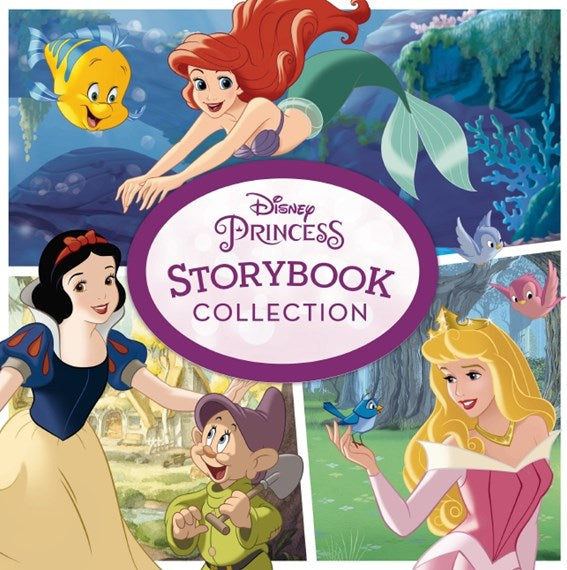 Disney Princess Storybook Collection (Hardcover) – KC's Hidden Treasures