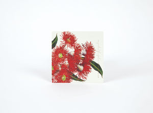 Bell Art - Drink Coasters (8) - Eucalypt