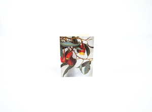 Bell Art - Boxed Gift Cards - Gum Bug Box