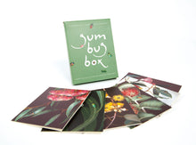 Load image into Gallery viewer, Bell Art - Boxed Gift Cards - Gum Bug Box