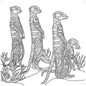 Kaiser Colour: On Safari Colouring Book
