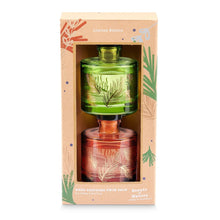 Load image into Gallery viewer, Tilley - Reed Diffuser Gift Set (2 x 100ml) - Maple &amp; Citrus