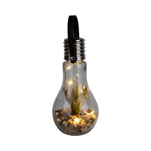 Solar Bulb Light with Succulent - Prickly Green