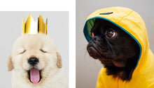 Load image into Gallery viewer, This Book Is Literally Just Pictures of Cute Animals That Will Make You Feel Better