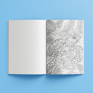 Kaleidoscope Colouring: Wonders of The Reef Colouring Book