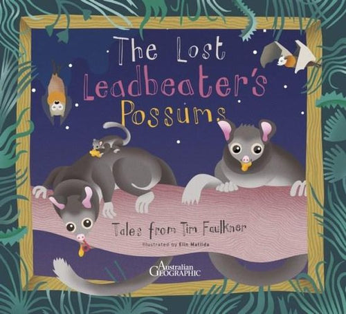 Australian Geographic: The Lost Leadbeater's Possums